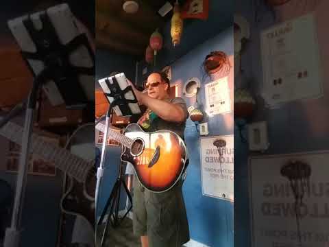 Promotional video thumbnail 2 for Ziggy I Rock/Reggae and Jazz