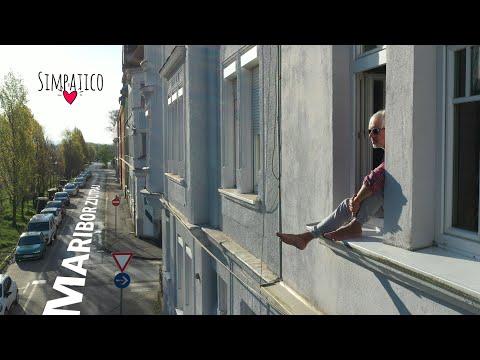 SIMPATICO . Maribor zjutraj