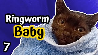 Ringworm Kitten | How to fix & treat Ringworm in Cats | Tump&Sooty | Part 7