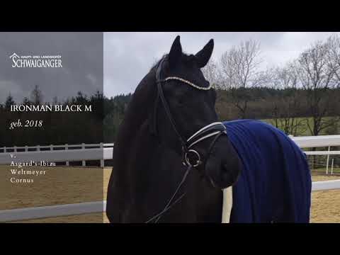 Ironman Black M v. Asgard's Ibiza - Weltmeyer - Cornus