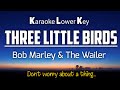 Bob Marley - Three Little Birds Karaoke Lower Key