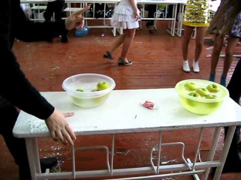 concurs la scoala XD