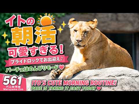 LION」のYahoo!リアルタイム検索 - X（旧Twitter）をリアルタイム検索