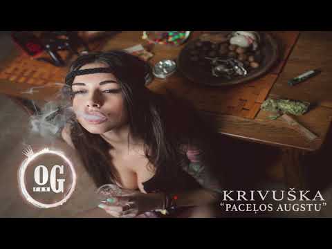 Krivuška - Paceļos Augstu