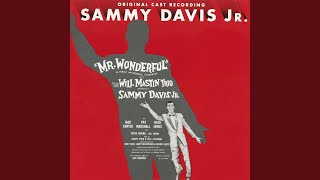 Mr. Wonderful