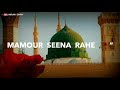 Tajdare Haram Ae Shahin Shah E Din Tumpe Har Dam Carodo