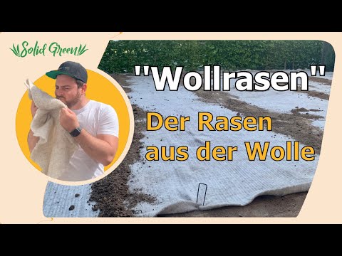 Wollrasen - der Rasen aus der Wolle