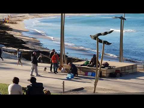Dee Why Busking #2