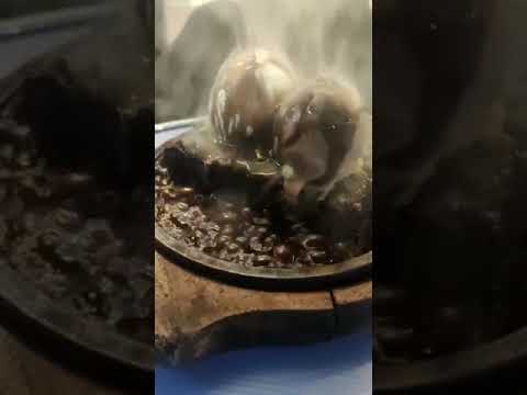 Sizzling Brownie With Icecream | Rajmandir Special |