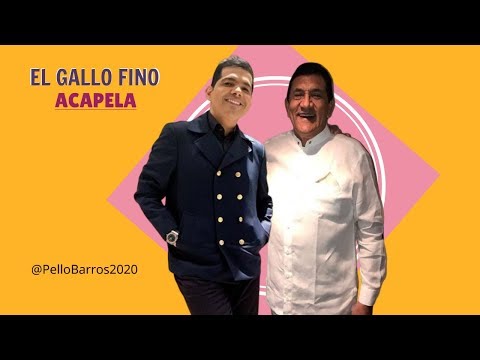 EL GALLO FINO PETER MANJARREZ & PONCHO ZULETA