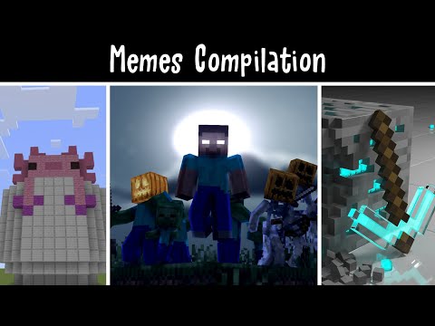 Hidden - Herobrine or Steve? | Minecraft Compilation #6