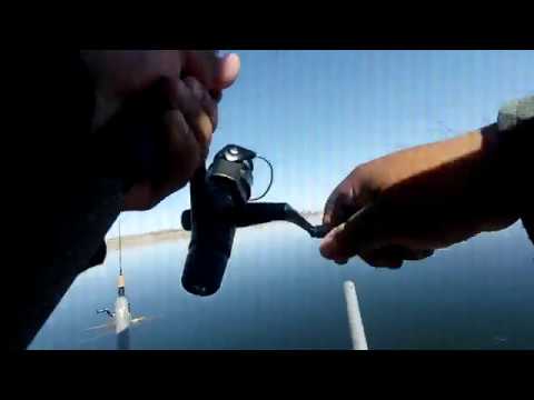 Fin and Feather club opening season chunky trout!!! ( S O - C A L ✰ F I S H I N G)