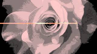 K. Roosevelt - Diamonds & Gold (Feat. Mibbs)