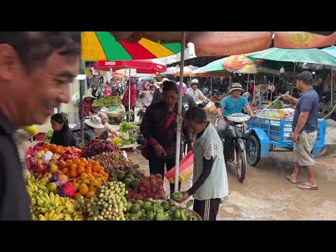 SUNDAY Life In Countryside Cambodian Street Food Vlogs Market Tour 2024  Frog, Fish, And More