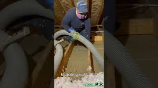 🌱How important is to remove attic insulation?