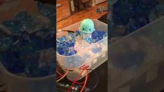 Part of Your World Music Box