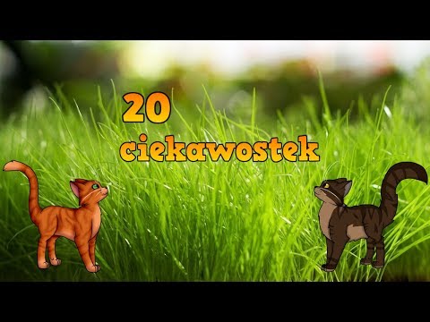 Wojownicy 20 CIEKAWOSTEK 「 𝐀𝐫𝐜𝐡𝐢𝐰𝐮𝐦 」