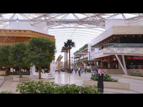 The Avenues Documentary