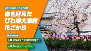 【野洲のおっさんSDGsニュース】春を迎えたびわ湖大津館　花ざかり（大津市）