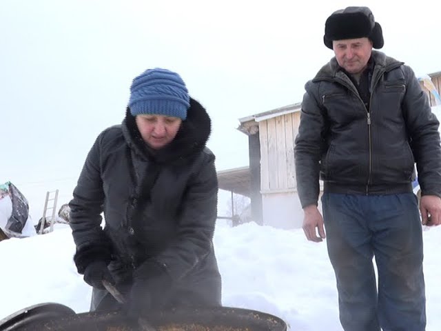 8 мини-ферм за 3 года