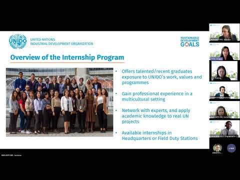 UNIDO’s New Paid Internship Programme