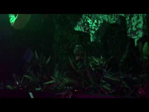 Blas Marín & Venom Music Club