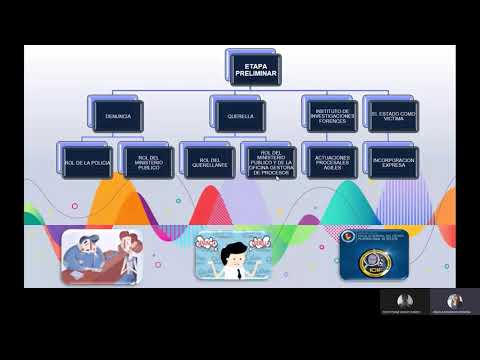 Examen de derecho procesal penal