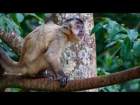 Nobres, Mato Grosso, Brasil