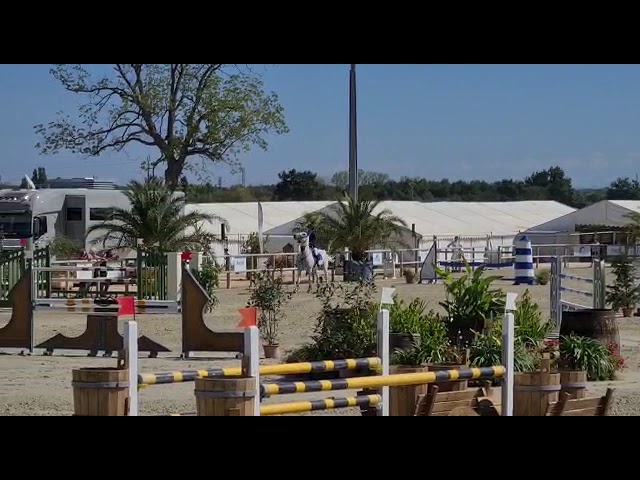 Jumping movie of the mother CSI 1.55m mare Prime Moon with rider F Schwizer.