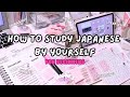 How To Start Learning Japanese For Beginners Self Study Resources