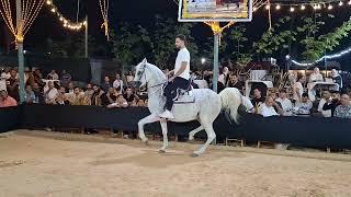 رقص خيل المعلم ابراهيم غزال