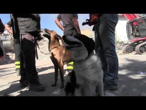 Sul più importante di un lyambliya di video I vermi che partono attraverso passaggio posteriore alla gente