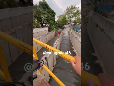 GIN DE 10 , PRA LÁ 😂😂🤦🏻‍♂️🥷🏼🇧🇷🙅🏻‍♂️ #foryou #comedia #viral #edit #memes #interiordesign