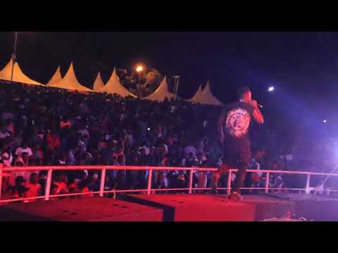 Twinarmy Vuka festival