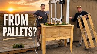 Our FIRST Garden as Beginner Homesteaders (DIY Self-Watering Bed!)