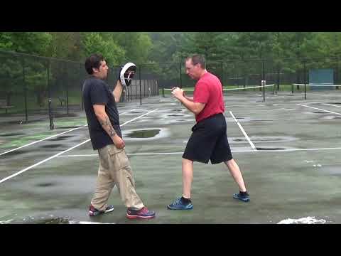 Lesson 8:  Dempsey's Falling Step and the Lead Punch