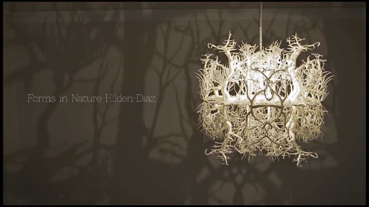forms in nature / Hilden Diaz Light Sculpture