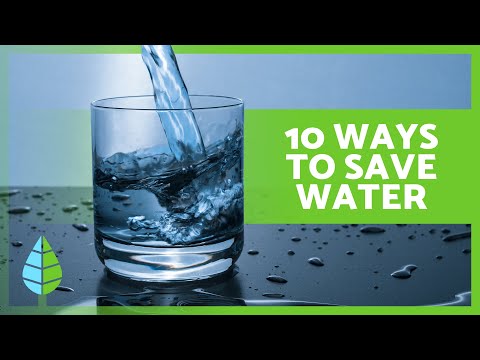 10 Actions to SAVE WATER! 🌎💦 Water Conservation Tips for Home, Garden, and More