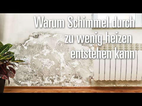 Why mold can develop due to insufficient heating