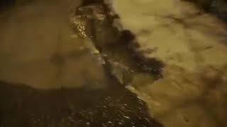 gli-uccelli-cantano-mentre-l-acqua-si-spreca