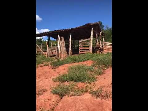 : A Menção da Fazenda Boa Vista em Fruta de Leite