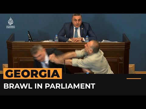 Controversial law sparks fight in Georgian parliament | Al Jazeera Newsfeed