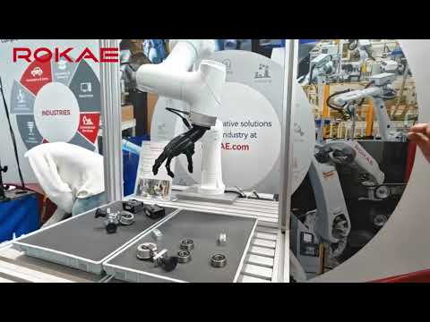ROKAE Cobot: Eye-Brain-Hand Combination