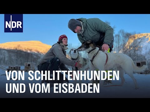 Winter in Norwegen - Glücklich durch die dunkle Jahreszeit | Nordseereport | NDR Doku