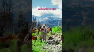 最も多くの盗賊を屠った騎士。 #ゲーム #紅の砂漠
