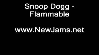 Snoop Dogg - Flammable (NEW SONG 2011)