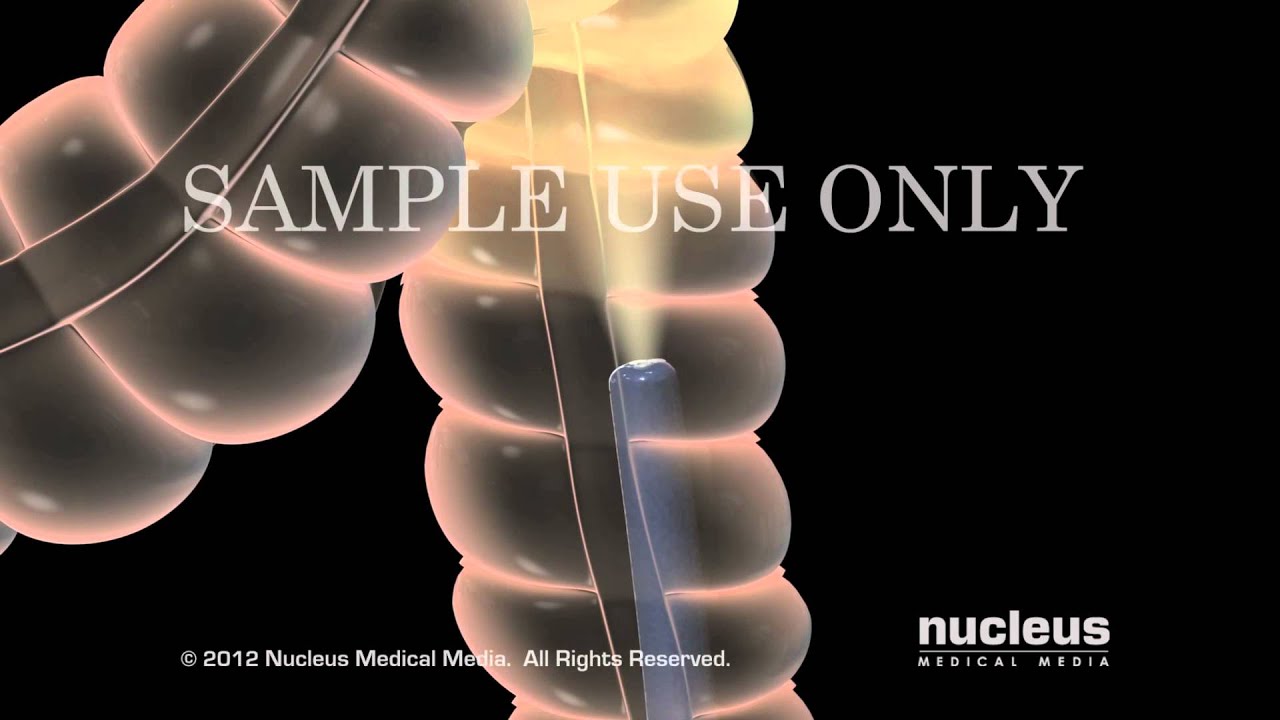 Liuva Alejandra Ramirez Gallardo-9