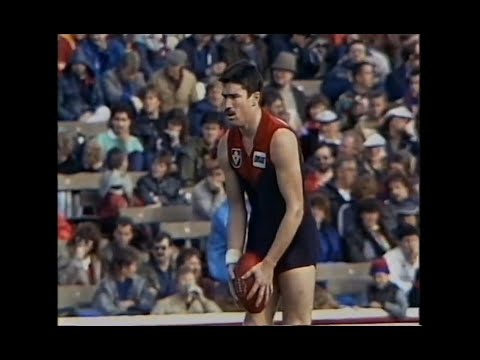 Sean Wight - Melbourne - 2 goals v West Coast Eagles - 1988 Elimination Final - VFL Park