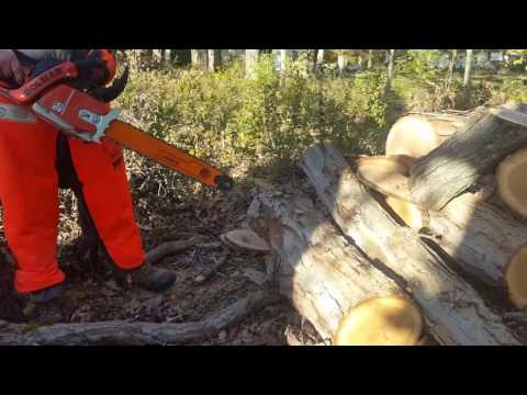 Oregon's NEW SPEEDCUT bar and chain vs oregon vpx.325, vxl and Stihl ps 3/8lp