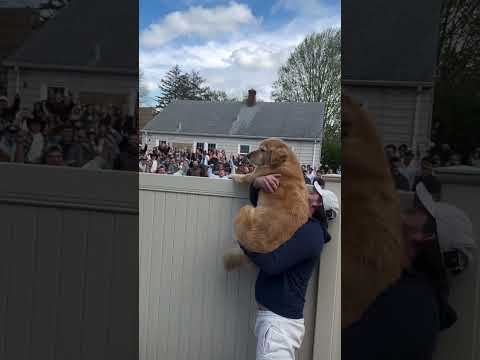 Supresa para os vizinhos #cahorro #surpresa #insano